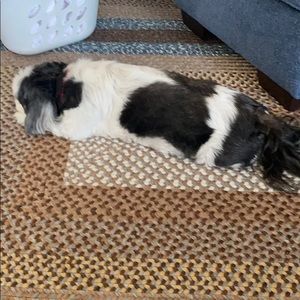 Meet your Posher, Michelle